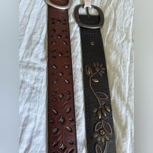 Fossil belt
